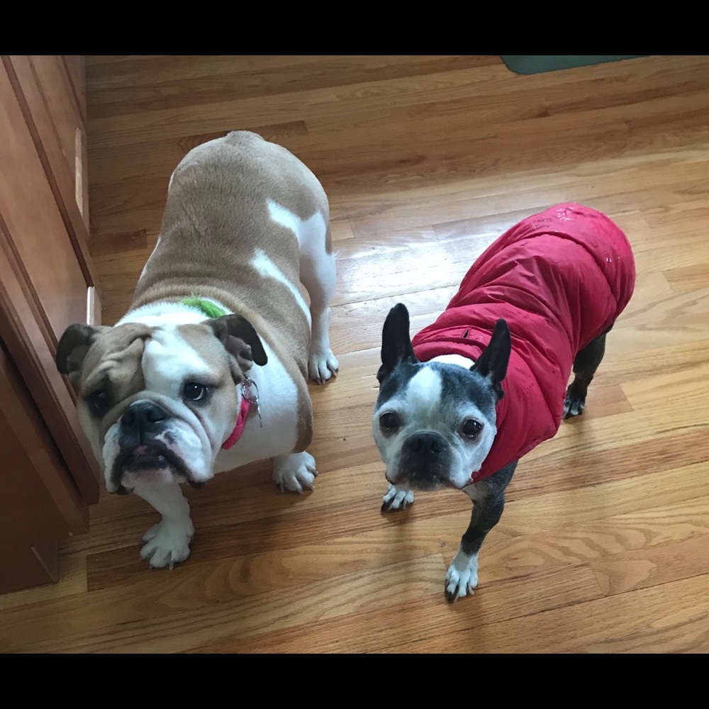 Meet your Posher, Maria